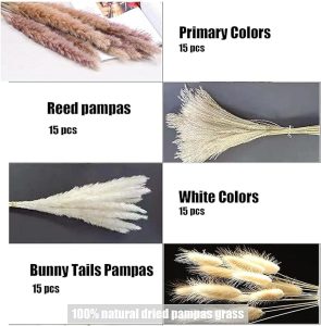 Pampas Grass, 60 Pcs Dried Pampas Grass Decor Natural Brown & White Pampas Grass | Bunny Tails Dried Flowers | Wheat Stalks | Reed for Boho Home Wedding Decor, Flower Arrangement 17.8"